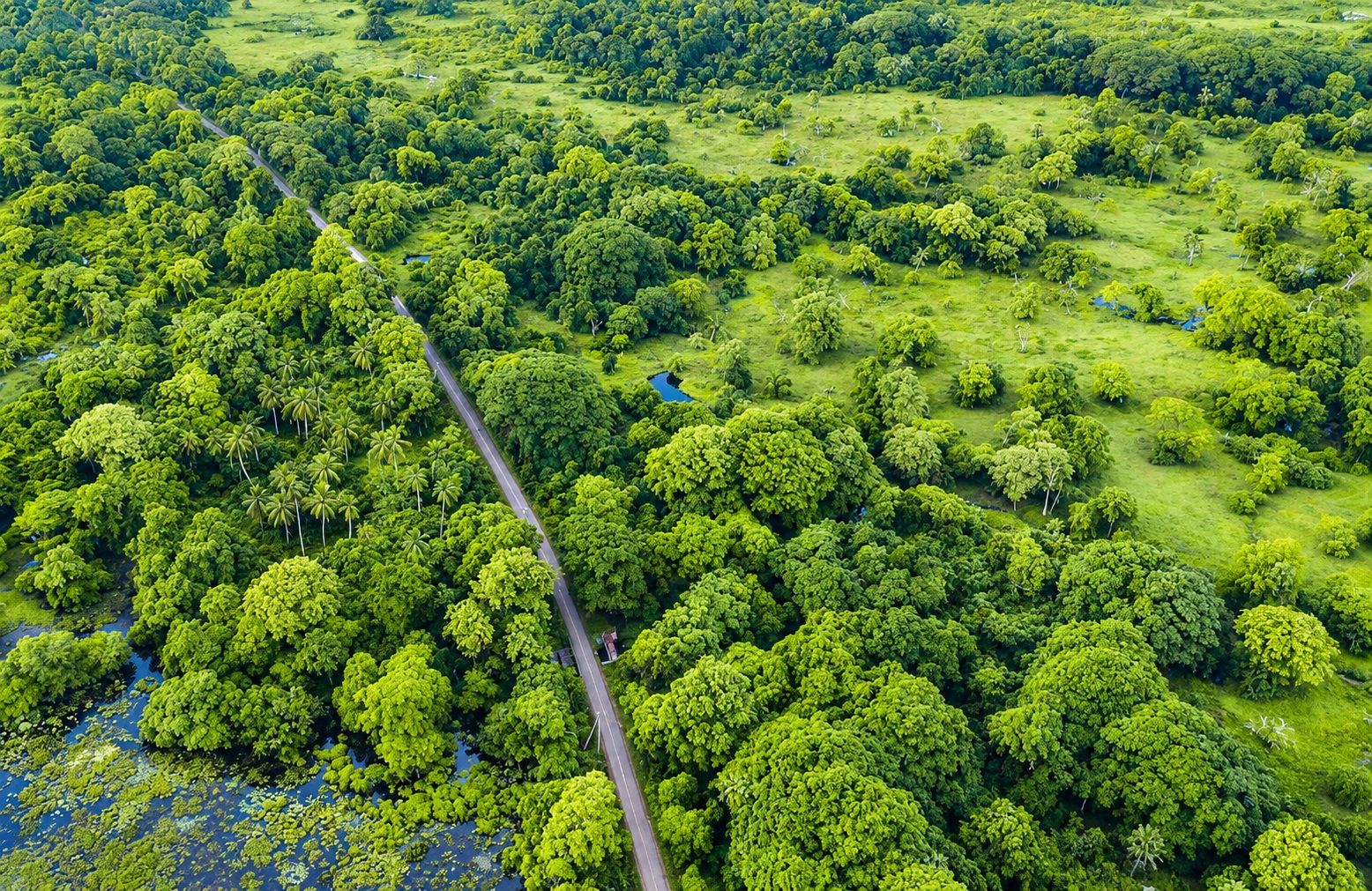 Anawilundawa Bird Sanctuary